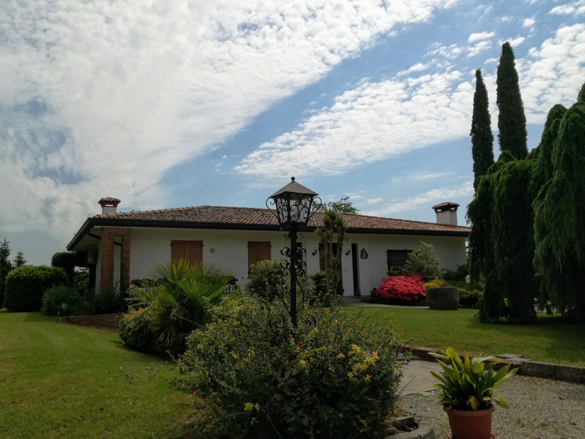 9cc50628-8594-4700-8562-26723d782ef4.jpg