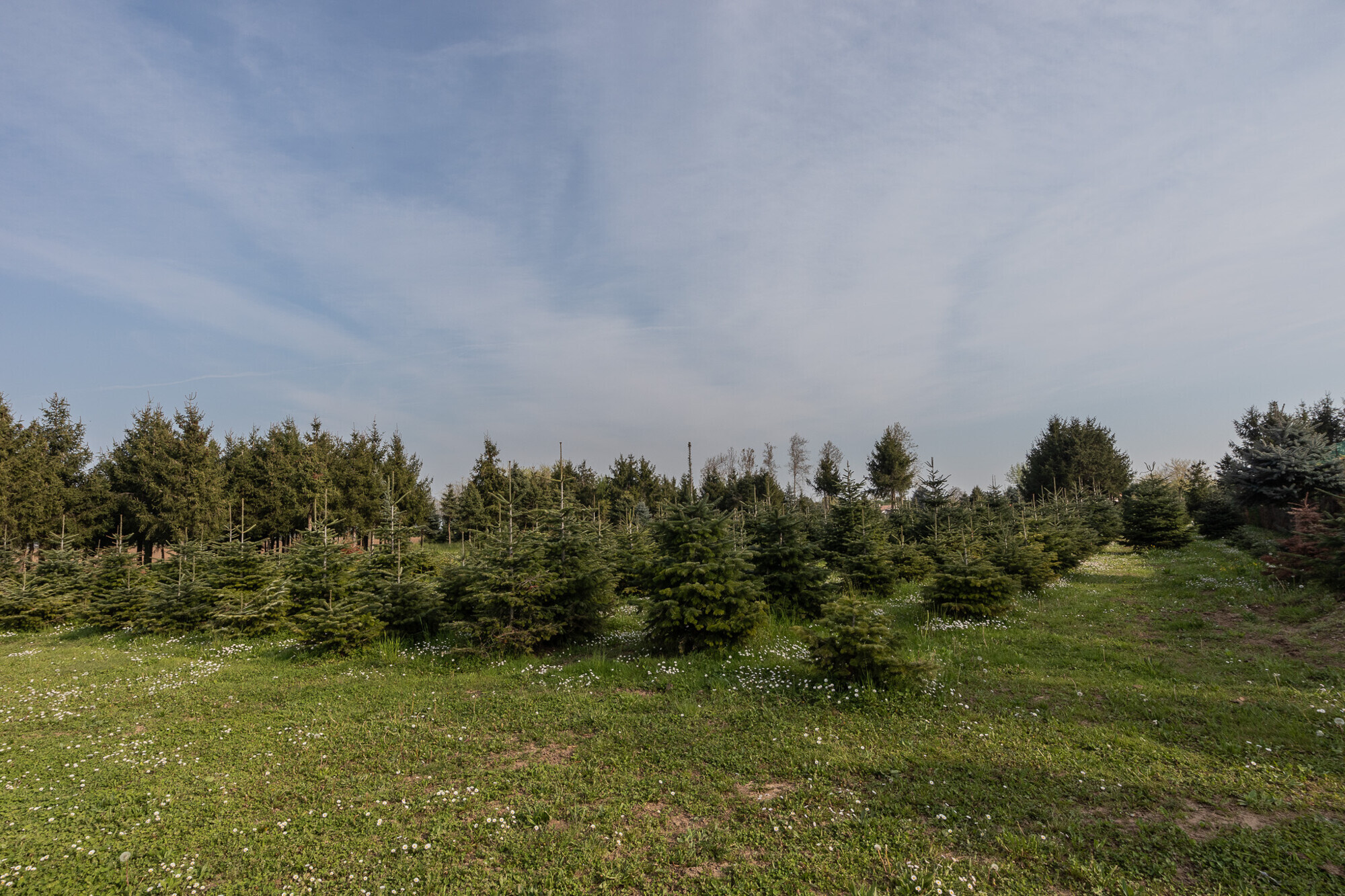 05b7a437-aaa0-4317-9a98-2472b51b0dc7.jpg