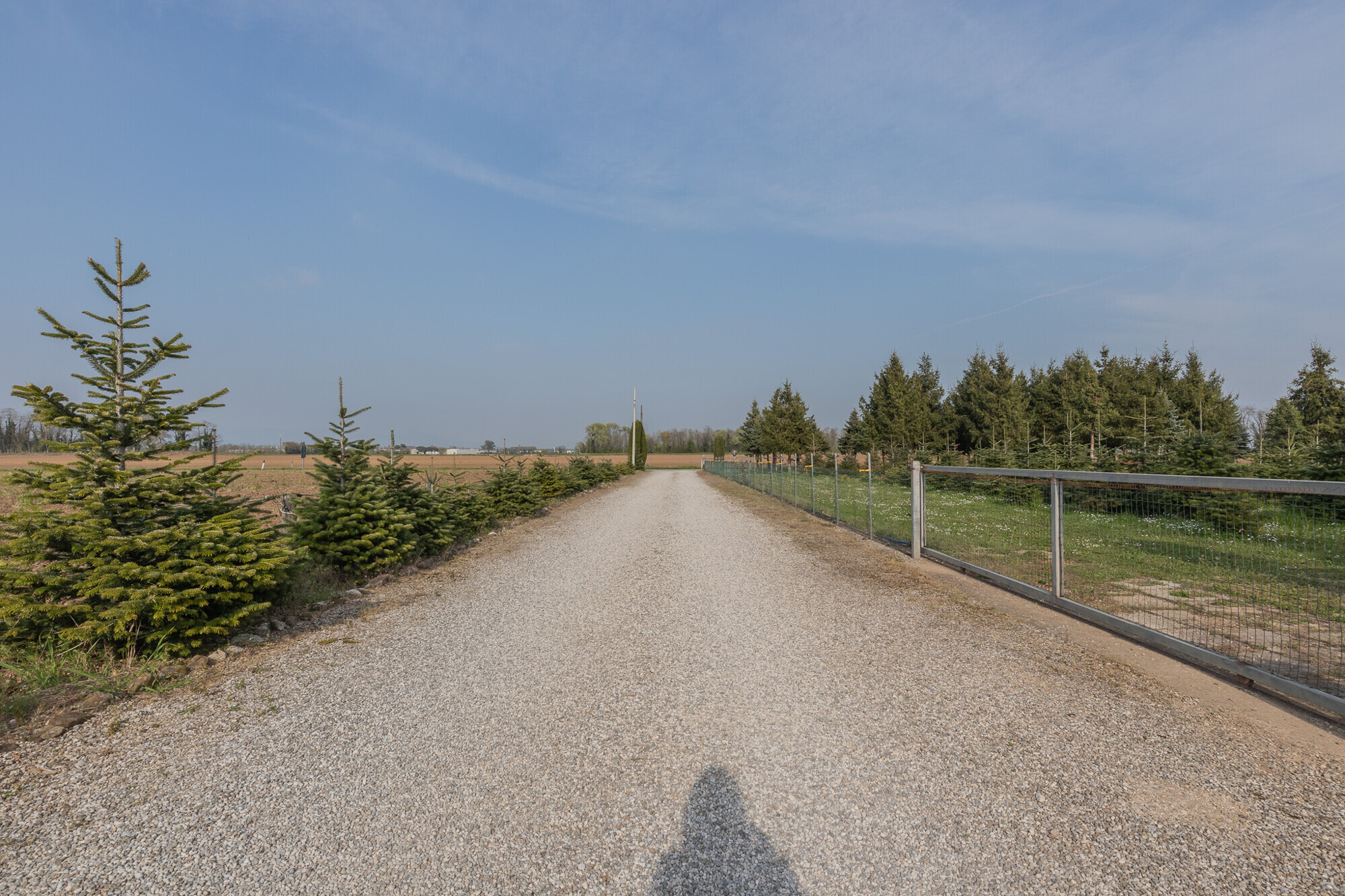 69bad69d-ca27-4094-a049-ee2a6c98ab17.jpg