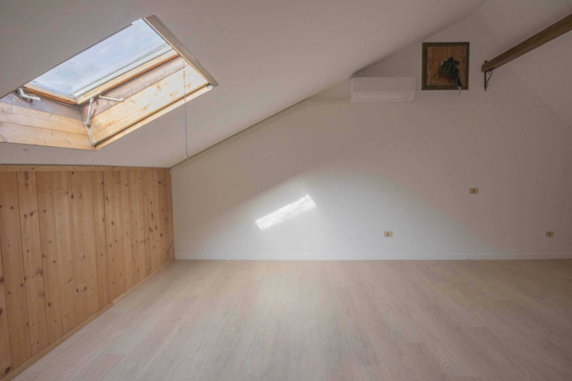 f9336d96-298c-45d6-a86c-89d77a096b19.jpg
